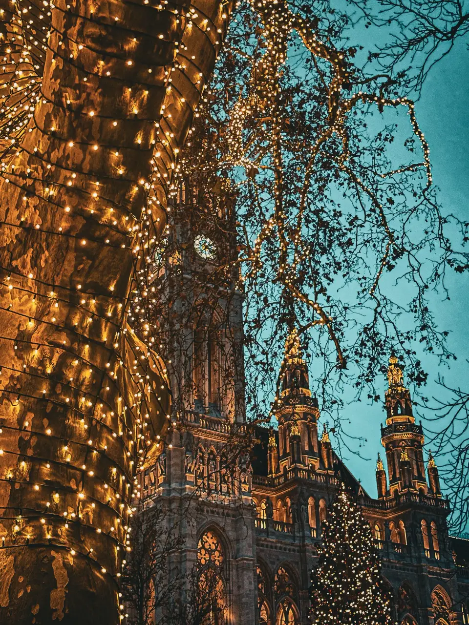 Warm festive lights in the trees framing Vienna’s historic Rathaus.
